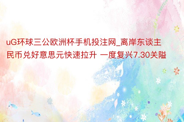 uG环球三公欧洲杯手机投注网_离岸东谈主民币兑好意思元快速拉升 一度复兴7.30关隘
