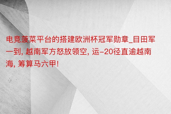 电竞菠菜平台的搭建欧洲杯冠军勋章_目田军一到, 越南军方怒放领空, 运-20径直逾越南海, 筹算马六甲!