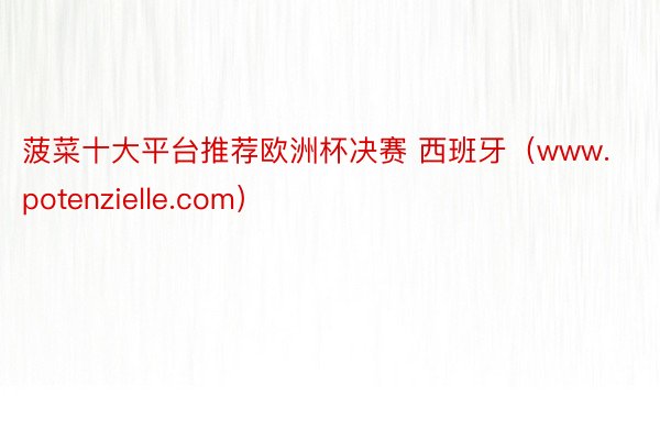 菠菜十大平台推荐欧洲杯决赛 西班牙（www.potenzielle.com）