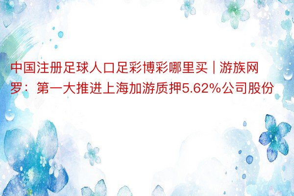 中国注册足球人口足彩博彩哪里买 | 游族网罗：第一大推进上海加游质押5.62%公司股份